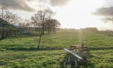 Soodsad hotellid sihtkohas Een