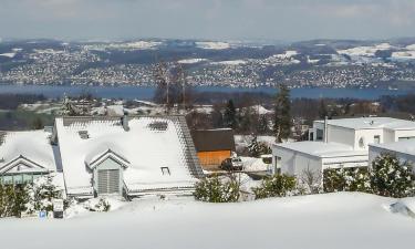 Hoteles con parking en Langnau am Albis