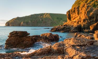 Atostogų būstai mieste Bethells Beach