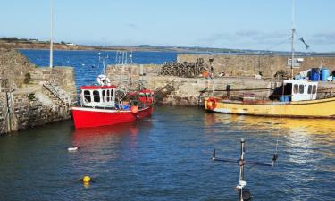 Nyaralók Fethard on Sea-ben