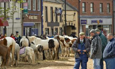 Hoteles económicos en Ballyclare