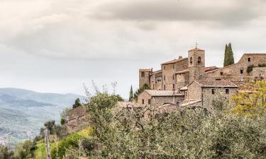 Alquileres vacacionales en Bucine