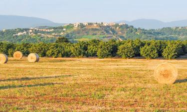 Parkimisega hotellid sihtkohas Borghetto