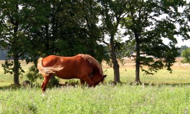 Hotell med parkering i Prienai