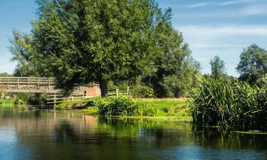 Hoteles que admiten mascotas en Dedham