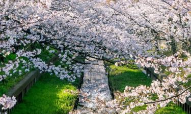 Hotel per famiglie a Sakurai