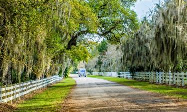 Bed & Breakfasts in Saint Francisville