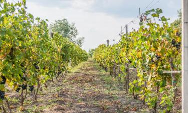 Parkolóval rendelkező hotelek Kabán