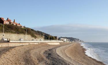 Pet-Friendly Hotels in Sandgate