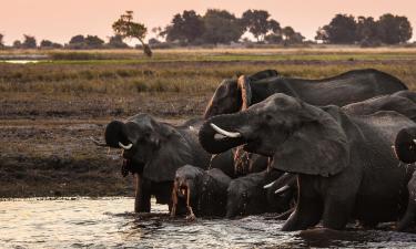 Hoteles con estacionamiento en Chobe