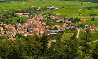 Lägenheter i Bornheim