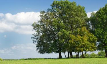 Hotel-hotel bajet di Dompierre-sur-Charente