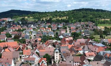 Hoteles con estacionamiento en Remchingen