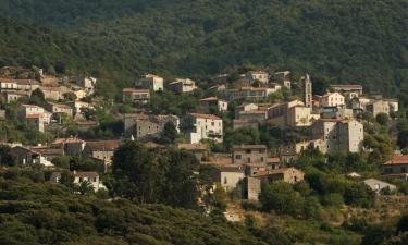 Помешкання для відпустки у місті Petreto-Bicchisano