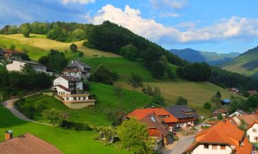 Hotel con parcheggio ad Aitern