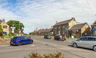 Cabanes i cottages a Ellington