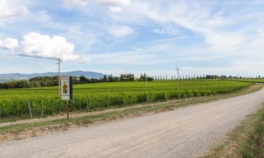 Hoteles con estacionamiento en Argiano