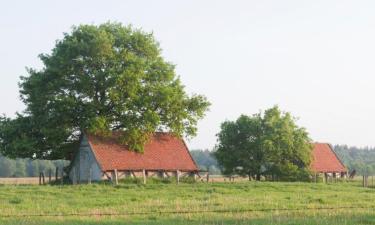 Dzīvokļi pilsētā Diemelstadt 