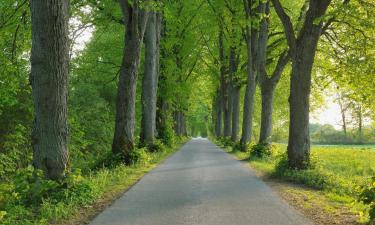 Hoteli sa parkingom u gradu Brilon-Wald