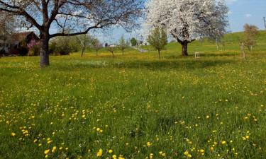 Hoteller med parkering i Fehraltorf