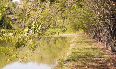 Hotéis com Piscinas em Araçoiaba da Serra