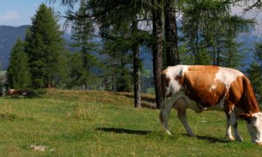 Hotels amb aparcament a Greifenstein