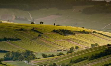 Alquileres vacacionales en Neuvy-sur-Barangeon