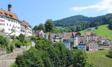 Hotels amb aparcament a Lichtensteig