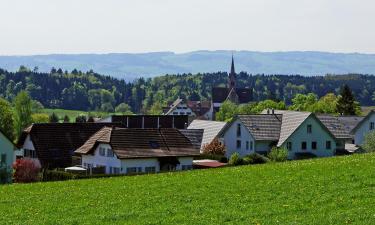 Hotels with Parking in Kappel am Albis