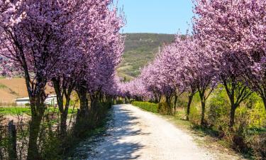 Hotels amb aparcament a Woodlands