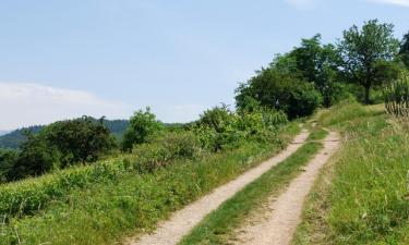 Hotels met Parkeren in Gutach im Breisgau