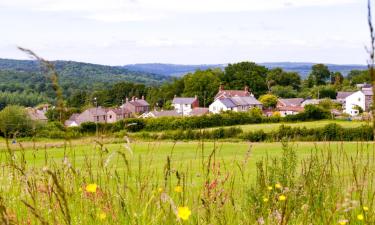 Cottages in Bream