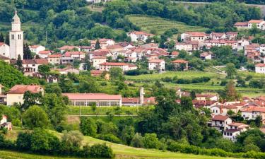 Alquileres vacacionales en Branik