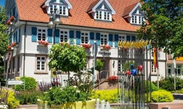 Hotels met Parkeren in Hardt