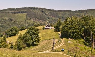 Готелі з парковкою у місті Řeka