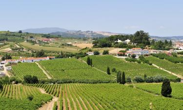 Hoteles en Arruda dos Vinhos