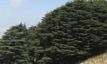 Hoteluri în Beit Meri