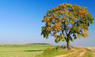 Atostogų būstai mieste Gooik