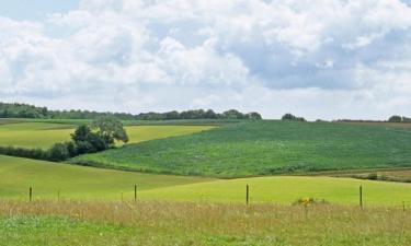 Ferieboliger i Mont-Saint-Aubert