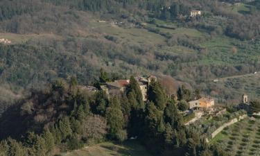 Holiday Rentals in Castiglione