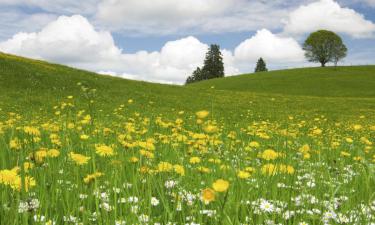 Hoteller med parkeringsplass i Kirchensittenbach