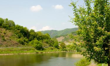 Отели с парковкой в городе Detzem