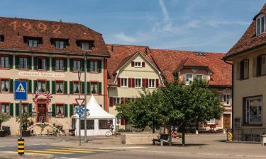 Haustierfreundliche Hotels in Breitenbach