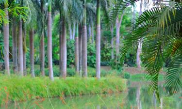 Hoteles en Brumadinho