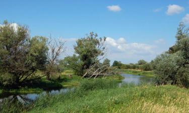 Vacation Rentals in Borkheide