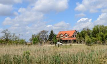 Hotels met Parkeren in Temerin