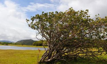 Holiday Homes in Porangaba