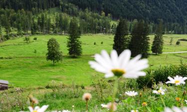 Hoteller med parkeringsplass i Strass im Attergau