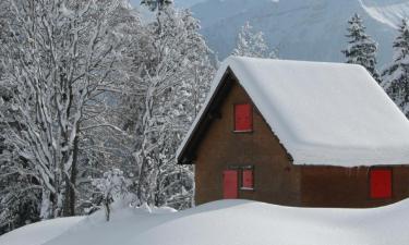 Ferieboliger i Linthal