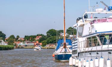 Cottages in Reedham